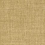 Colour - Linetta Olive