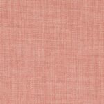 Colour - Linetta Salmon