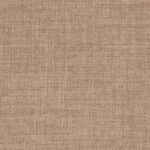 Colour - Linetta Sand