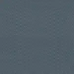 Colour - Hummingbird