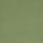 Colour - Segunda Apple