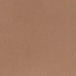 Colour - Segunda Coffee