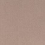 Colour - Segunda Putty